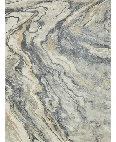 Exquisite Rugs Gianni 6648 8'x10' Area Rug In Gray,gold
