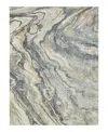 Exquisite Rugs Gianni 6648 Area Rug, 8' X 10' In Gray/gold