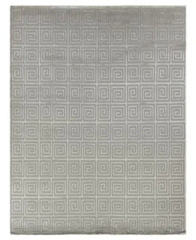Exquisite Rugs Greek Key Er9419 Area Rug In Silver Tone