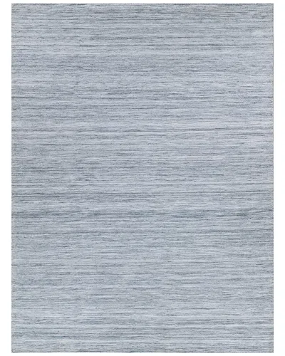 Exquisite Rugs Kashmir Flatweave Pet Yarn Area Rug In Gray