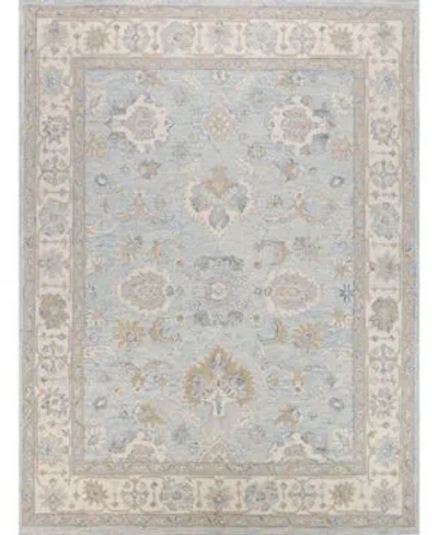 Exquisite Rugs Marietta Oushak 6823 Rug Collection In Mist,ivory
