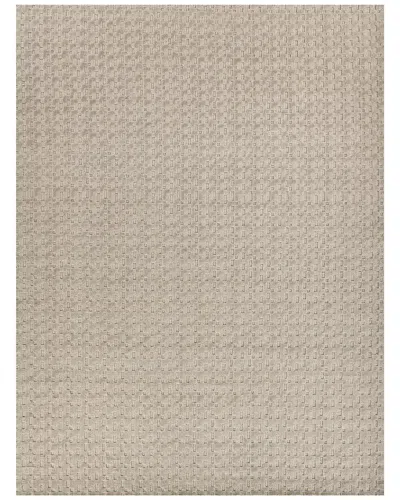 Exquisite Rugs Monroe Silk Hand-loomed Bamboo Silk & Cotton Light Area Rug