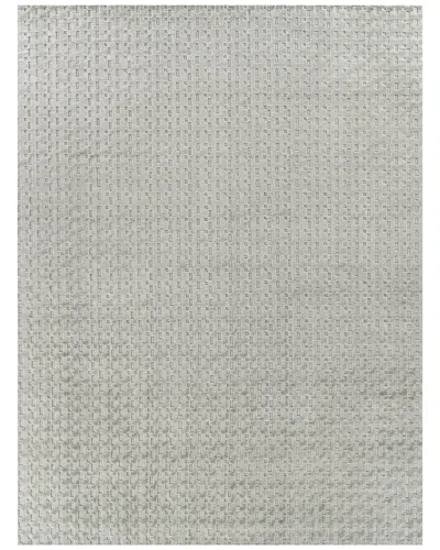 Exquisite Rugs Monroe Silk Hand-loomed Bamboo Silk & Cotton Light Green Area Rug