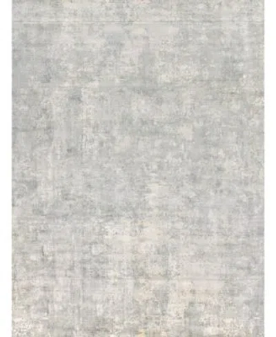Exquisite Rugs Murano 4027 Rug Collection In Gray,ivory
