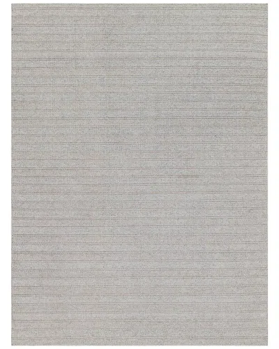 Exquisite Rugs Nova Flatweave Pet Yarn Area Rug In Beige