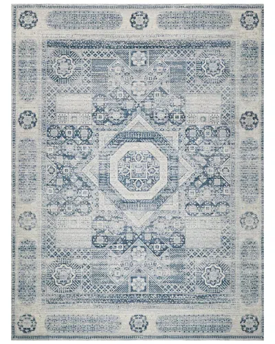 Exquisite Rugs Vintage Looms Light Blue/blue Polyester Powerloom Area Rug