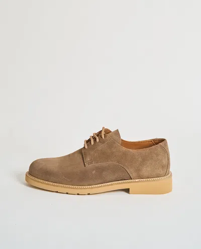Exton Flat Shoes In Brown