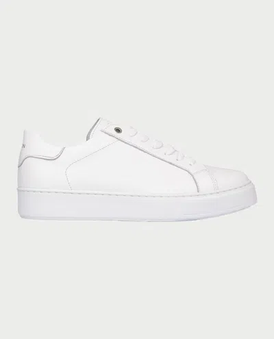 Exton Sneakers In Bianco Neutri