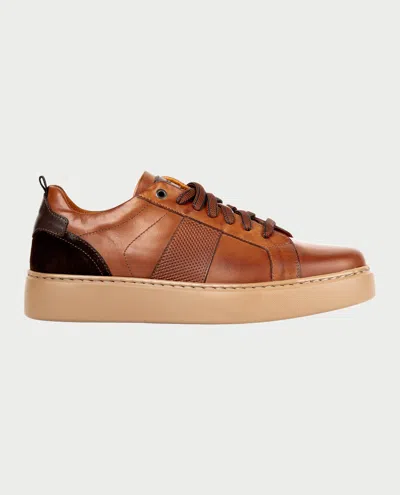 Exton Sneakers In Marrone Scuri
