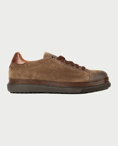 Exton Sneakers In Tabacco Scuri