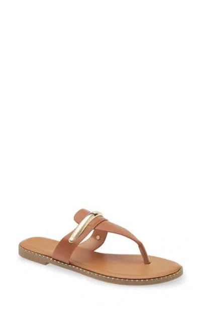 Extreme By Eddie Marc Angel Slide Sandal In Brown