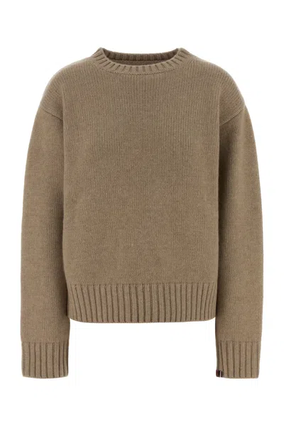Extreme Cashmere Beige Cashmere Sweater In Brown
