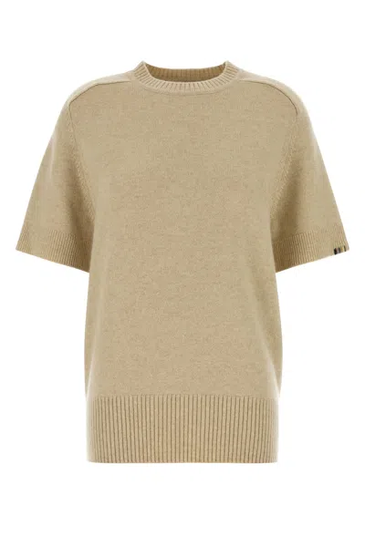 Extreme Cashmere Beige Stretch Cashmere Blend Scott Sweater In Brown