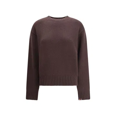 Extreme Cashmere Brown Cashmere Cashmere Women's Sweater