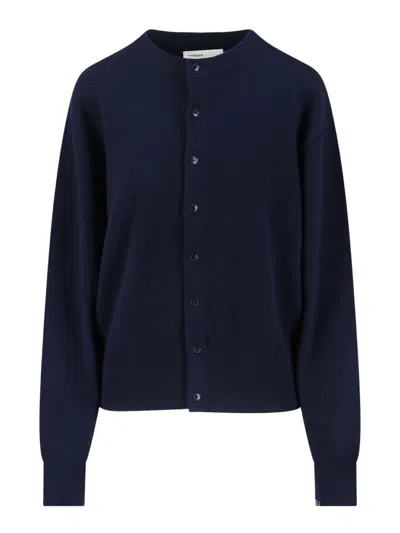 Extreme Cashmere Cardigan In Blue