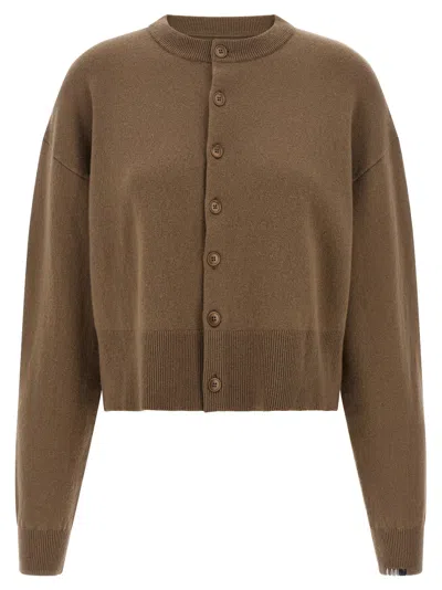 Extreme Cashmere Cardigan In Brown