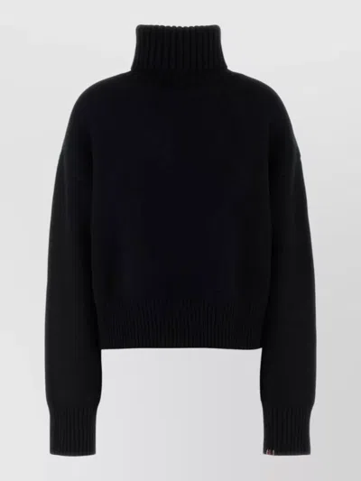 Extreme Cashmere Cashmere Turtleneck Sweater Long Sleeves In Black