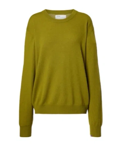 Extreme Cashmere Crew Neck Knit Sweater In Green
