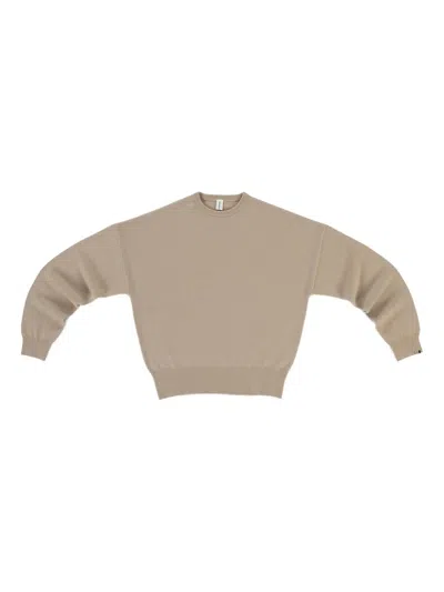 Extreme Cashmere Crew-neck Long-sleeve Sweater In Brown