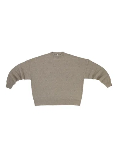 Extreme Cashmere Crew-neck Sweater In Neutral