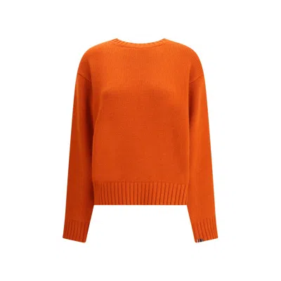 Extreme Cashmere Knitwear In Orange