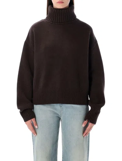 Extreme Cashmere Crop Extra In Brown