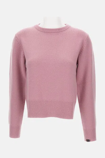 Extreme Cashmere Jeanne Sweater In Pink