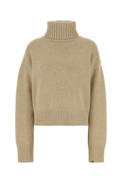 Extreme Cashmere Crop Xtra Turtleneck Knitted Sweater In Brown