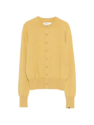 Extreme Cashmere Little2 Button Cardigan In Yellow