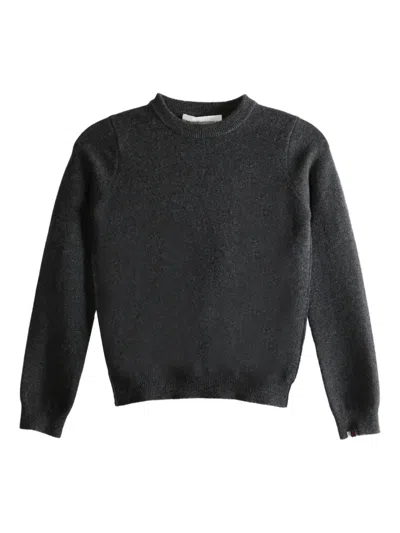 Extreme Cashmere Long-sleeve Crew-neck Jumper In Gray