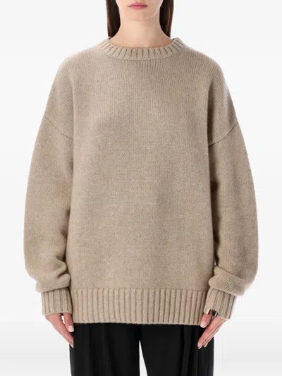 EXTREME CASHMERE LONG-SLEEVE CREW-NECK SWEATER