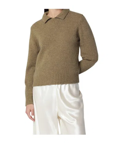 Extreme Cashmere Long-sleeve Cashmere Polo Shirt In Brown