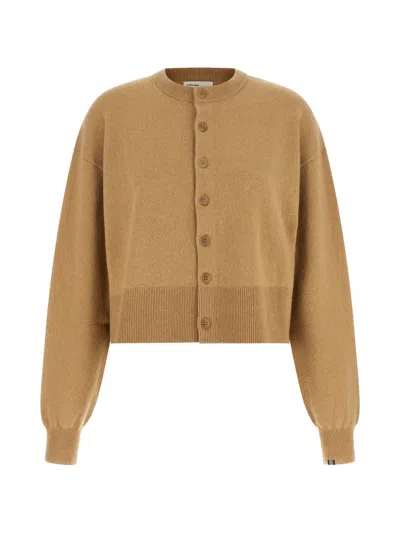 Extreme Cashmere Cardigan In Brown