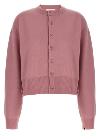 Extreme Cashmere N.170 Chou Cardigan In Pink