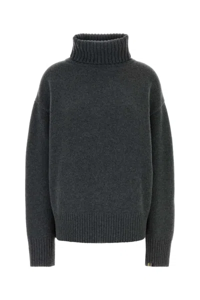 Extreme Cashmere Turtleneck Sweater In Gray