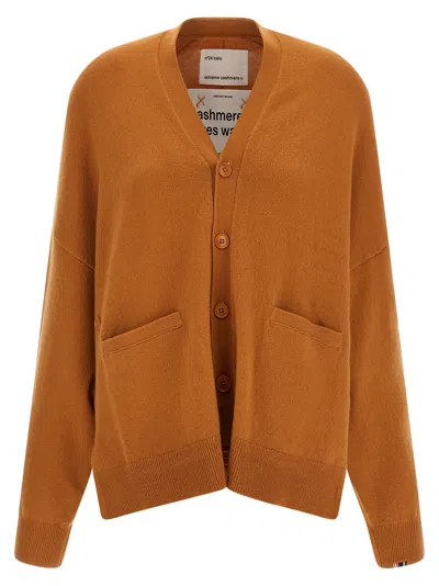 Extreme Cashmere N24 Tokio V-neck Cardigan In Brown