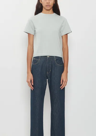 Extreme Cashmere N°267 Tina Cotton Cashmere T-shirt In Gray
