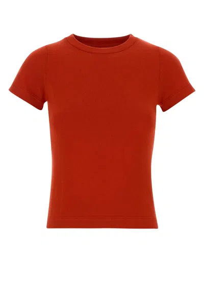 Extreme Cashmere Crew-neck Knit T-shirt In Brown