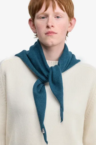 Extreme Cashmere N°35 Schal In Blue