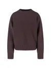 Extreme Cashmere Sweater In Purple