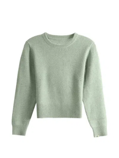 Extreme Cashmere Nº430 Jeanne Crew-neck Raglan-sleeve Sweater In Green