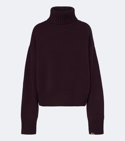 Extreme Cashmere Turtleneck Cashmere Sweater In Brown