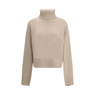 EXTREME CASHMERE N°434 CROP XTRA TURTLENECK SWEATER IN CASHMERE