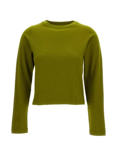 Extreme Cashmere Green Grass N.451 Lisa Short Sleeve Sweater In Multi
