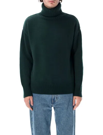Extreme Cashmere Oversized Turtleneck Cashmere Sweater In Green