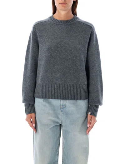 EXTREME CASHMERE PLEASE CREWNECK