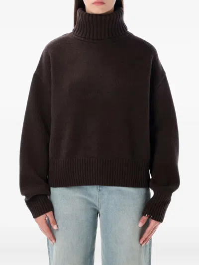 Extreme Cashmere Ribbed Roll-neck Sweater In Brown