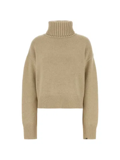 Extreme Cashmere Roll-neck Cashmere Sweater In Brown