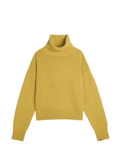 Extreme Cashmere タートルネック セーター In Green