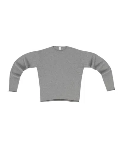 Extreme Cashmere Round-collar And Long-sleeved Sweater In Gray